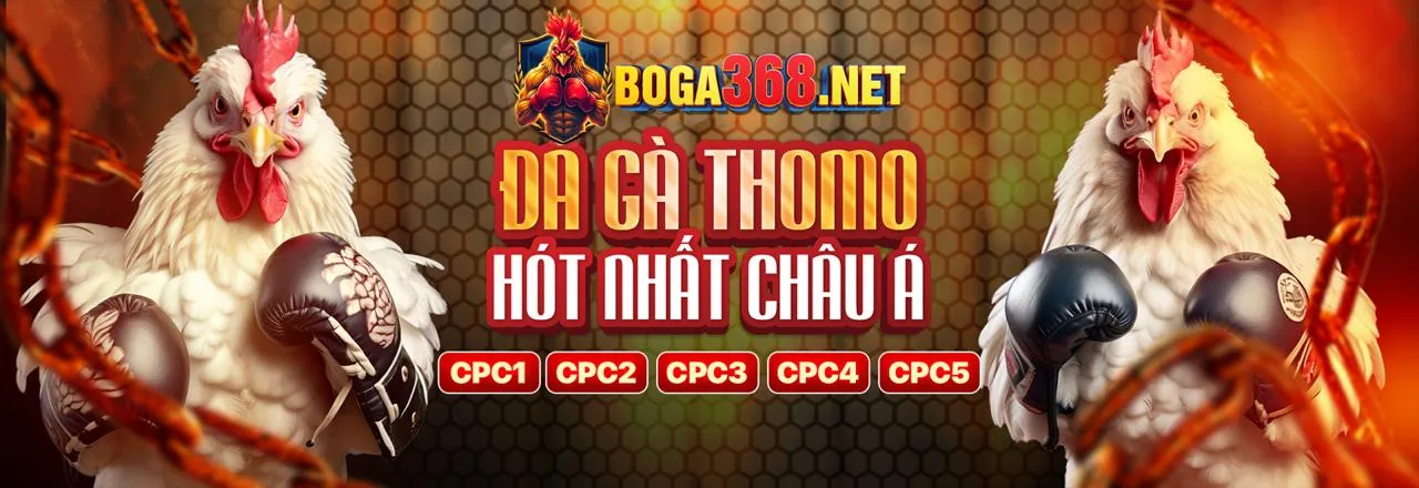 Đá Gà Trực Tuyến Hấp Dẫn tại vn117
