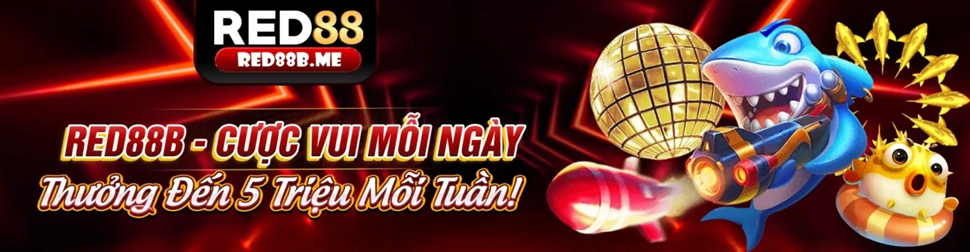 Hình ảnh Điều Khoản & Điều Kiện của vn117